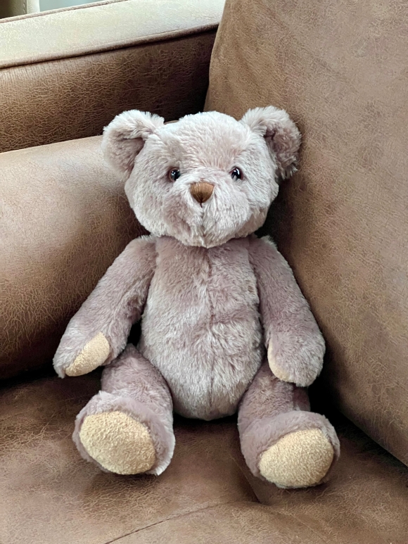 Brown teddy