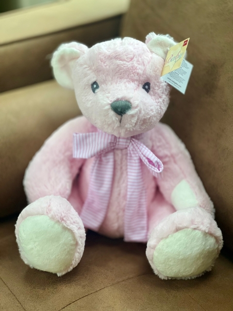 Pink teddy